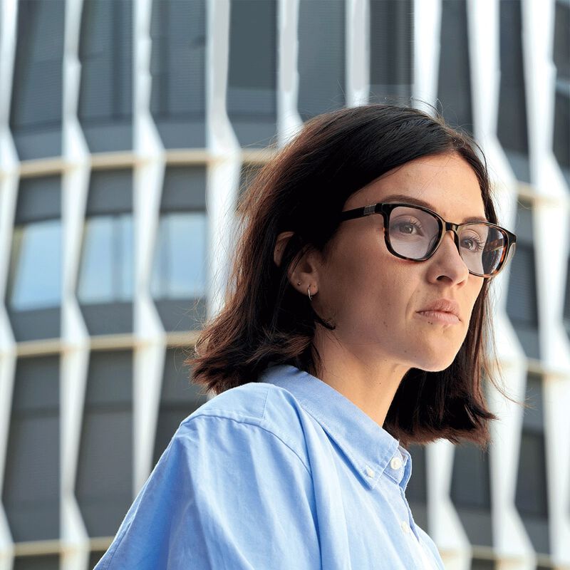 JASP 02, Havana Shiny-, hi-res image number null